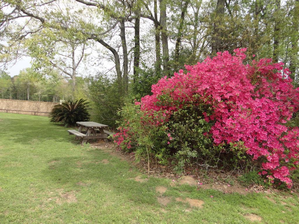 Garden Inn And Suites Silsbee Luaran gambar